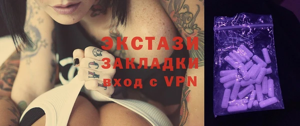 гашик Дмитриев