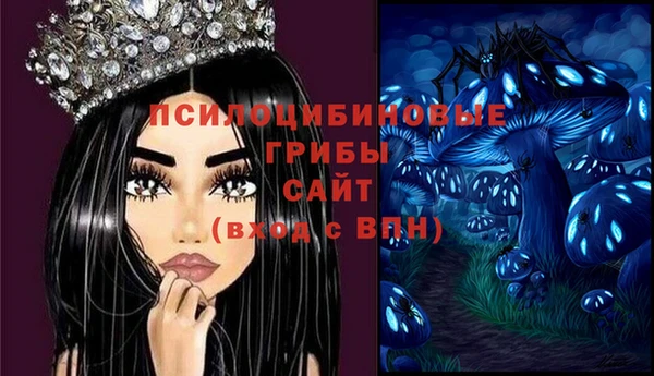 гашик Дмитриев