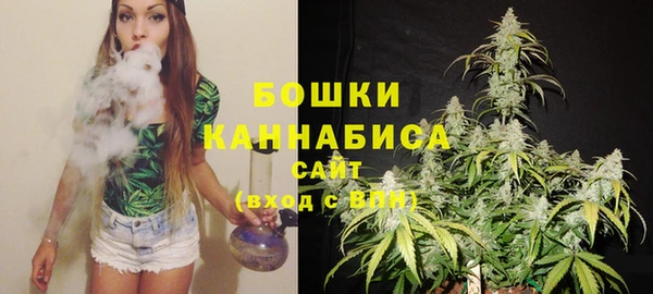 гашик Дмитриев