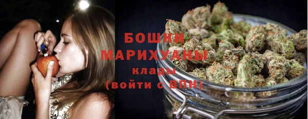 гашик Дмитриев