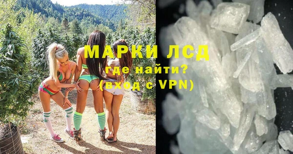 гашик Дмитриев