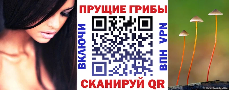 Псилоцибиновые грибы MAGIC MUSHROOMS  Купить где  Рудня 